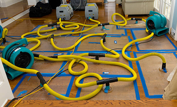 Professional Structural Drying And Dehumidification technician working in Elkins, WV